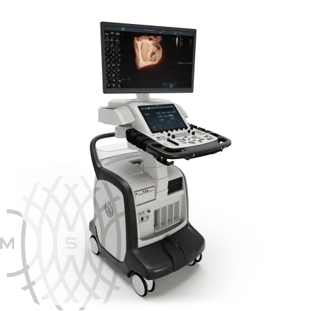 Ультразвуковая диагностическая система GE HealthCare Vivid E95