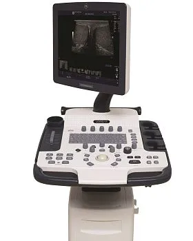 Ультразвуковая диагностическая система GE Logiq V5